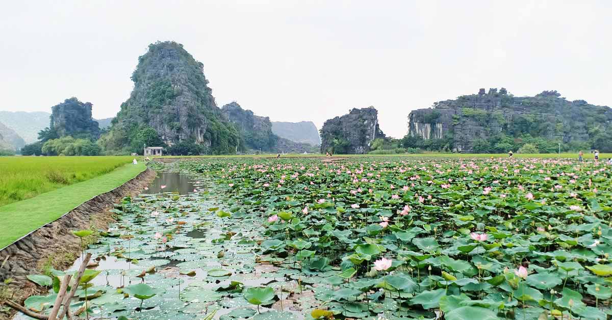 Tour du lịch Ninh Bình 2N1D khởi hành hàng ngày 2024