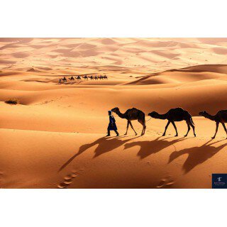 Tour du lịch Ai Cập 13N12D khởi hành Q4/2025 từ Hà Nội Tour du lịch Ai Cập 13N12D khởi hành Q4/2025 từ Hà Nội