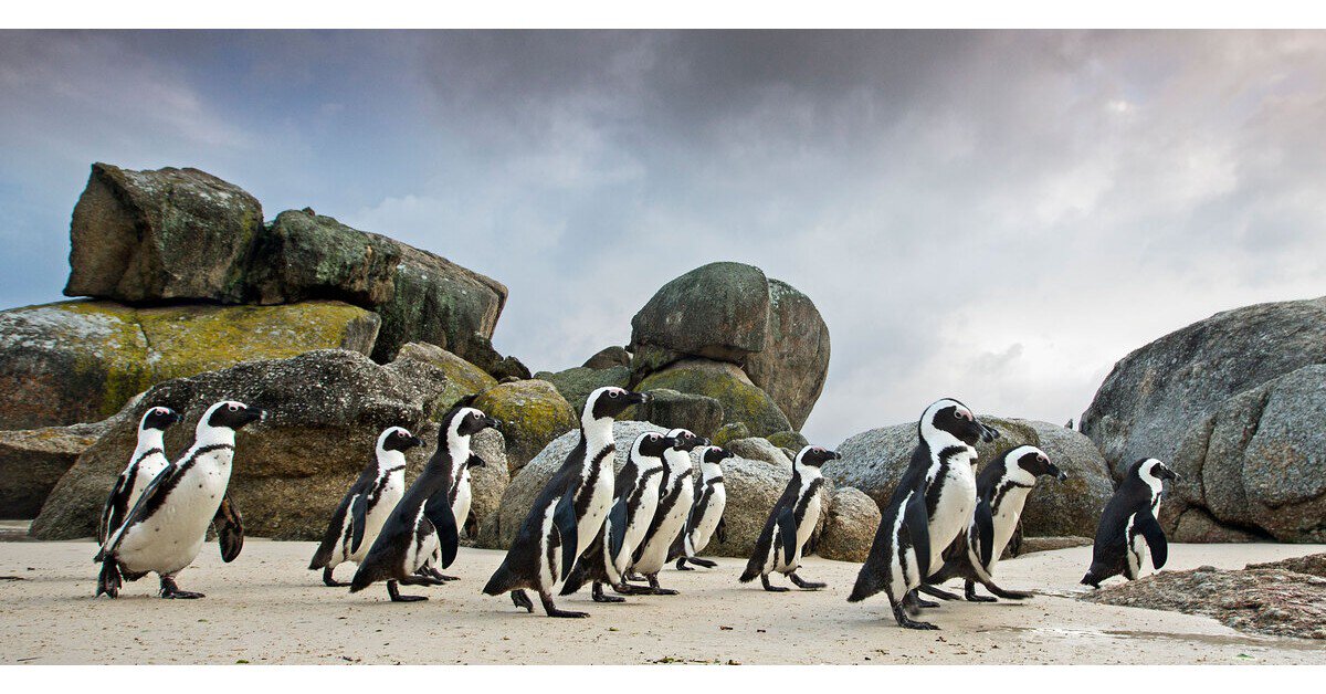 Tour du lịch KENYA - NAMIBIA 13N12D khởi hành T8/2025 từ Hà Nội/TPHCM
