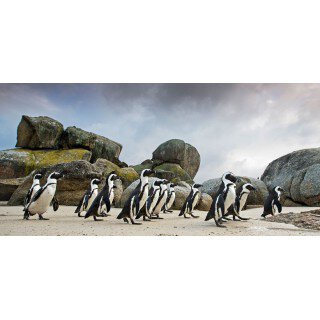 Tour du lịch KENYA - NAMIBIA 13N12D khởi hành T8/2025 từ Hà Nội/TPHCM Tour du lịch KENYA - NAMIBIA 13N12D khởi hành T8/2025 từ Hà Nội/TPHCM