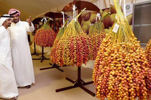 Ghé thăm chợ nông sản Date Market - Thiên đường quả Chà Là ở tại Dubai