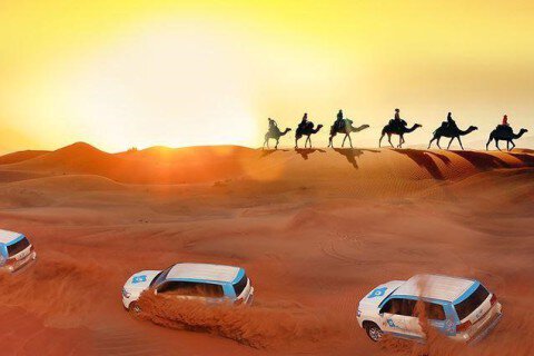 Chinh phục sa mạc Safari trong tour du lịch Dubai
