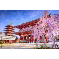 Tour du lịch Nhật Bản ngắm hoa anh đào 2023 bay Vietjet từ Hà Nội