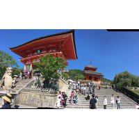 Du lịch Nhật Bản ngắm Hoa Anh Đào 