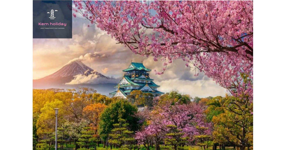 Tour du lịch Nhật Bản ngắm hoa anh đào 2023 bay VN từ Hà Nội